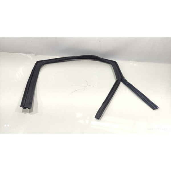 Borracha De Vidro Traseiro Direito Citroën C4 Picasso 2013