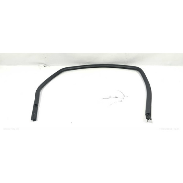 Borracha De Porta Canaleta Traseira Esquerda Citroën C5 2004