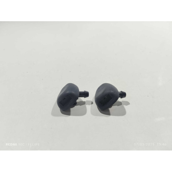 Esguicho Brucutu Peugeot 207 Passion 2010