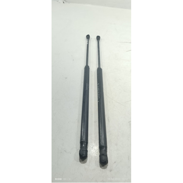 Amortecedor Tampa Traseira Porta Malas Livina 2013 Ppp