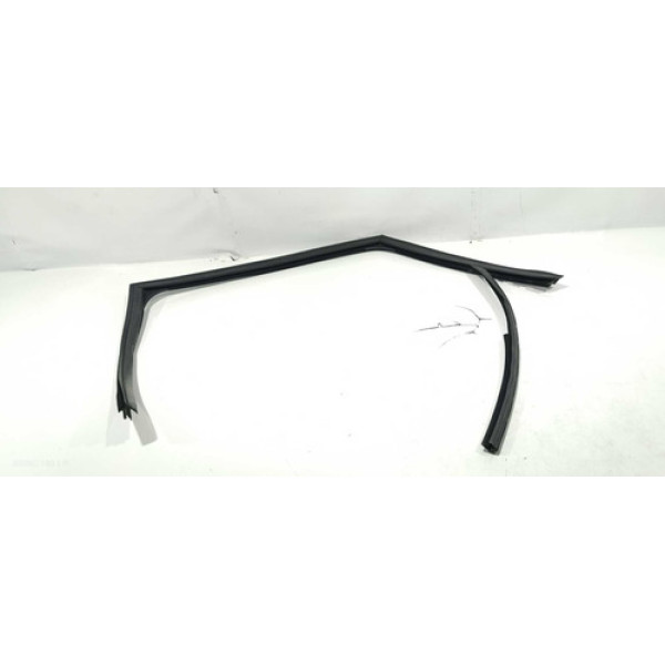 Borracha Vidro Porta Traseira Esquerdo Citroën C5 2004 