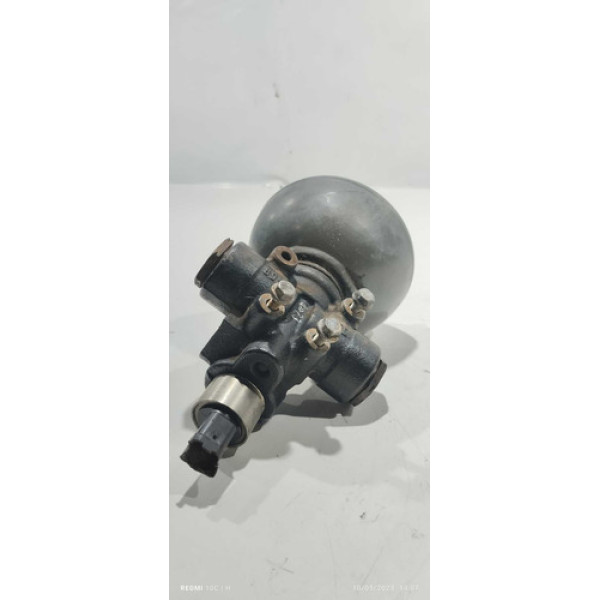 Cilindro Suspensão Dianteira Citroën C5 2004