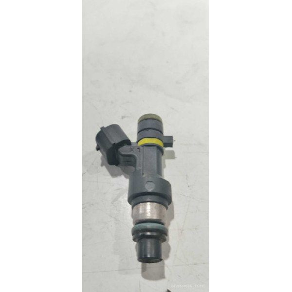 Bico Injetor Nissan Sentra 2.0 Aut 2008/012 Gasolina Fby2850